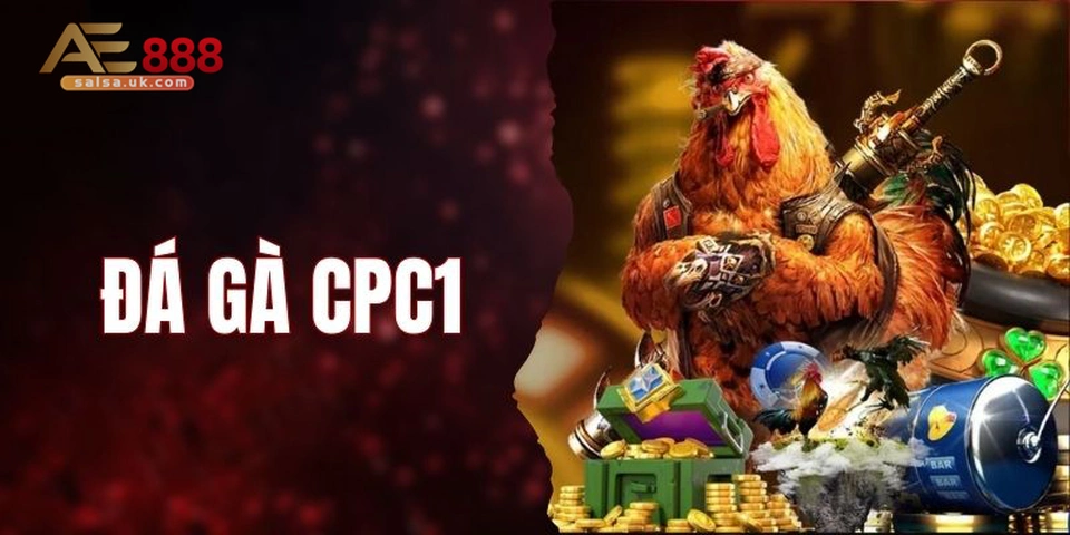 Đấu trường CPC1 – nơi hội tụ các chiến kê đỉnh cao khu vực