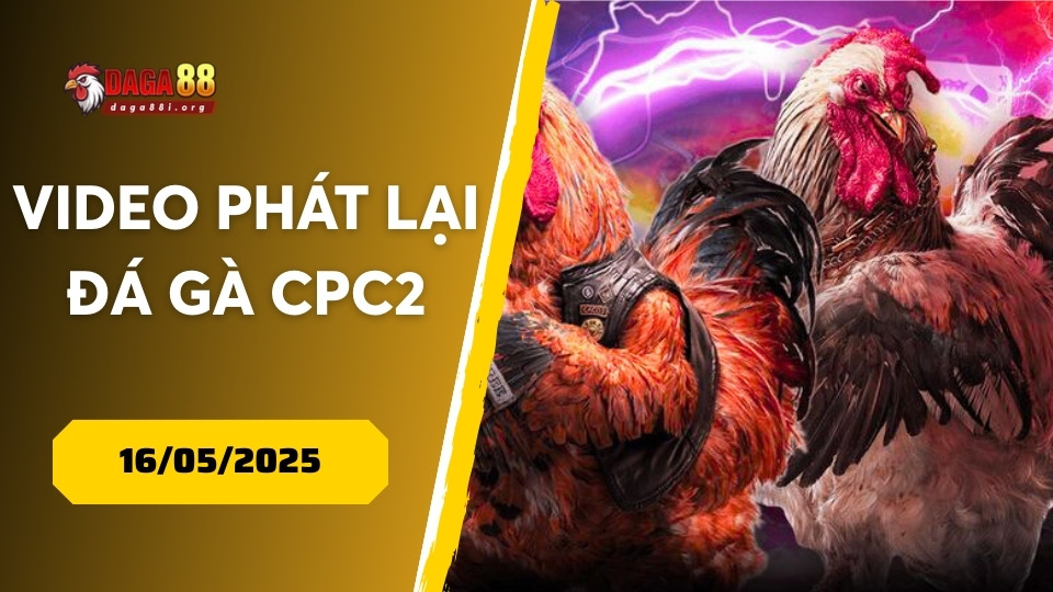 Video phát lại đá gà CPC2 16/05/2025